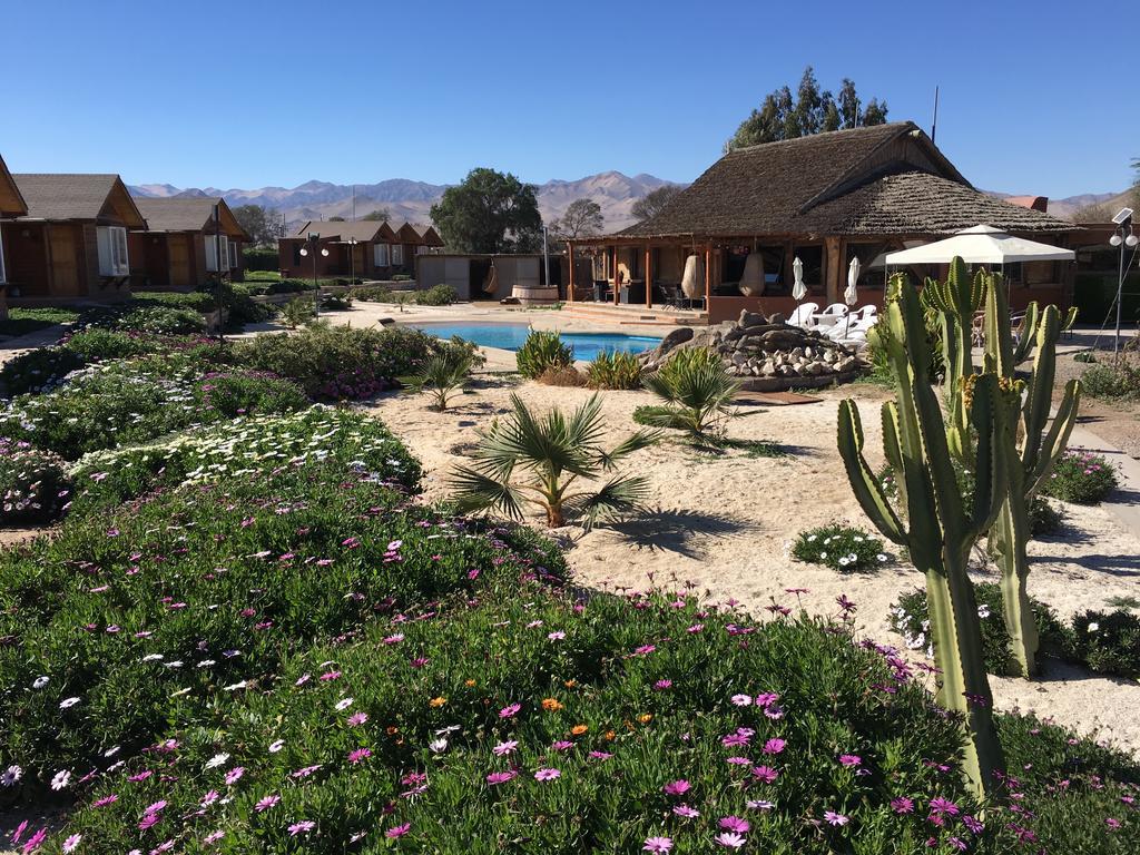 Hotel El Bramador Copiapo Ngoại thất bức ảnh